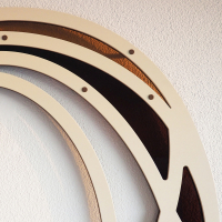 Walking stick - Diesbachia tamyris